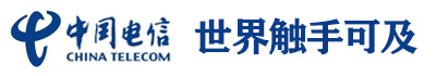 点击访问“中国电信”官网
