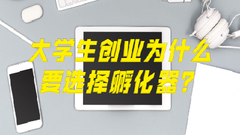 大学生创业为什么要选择孵化器？